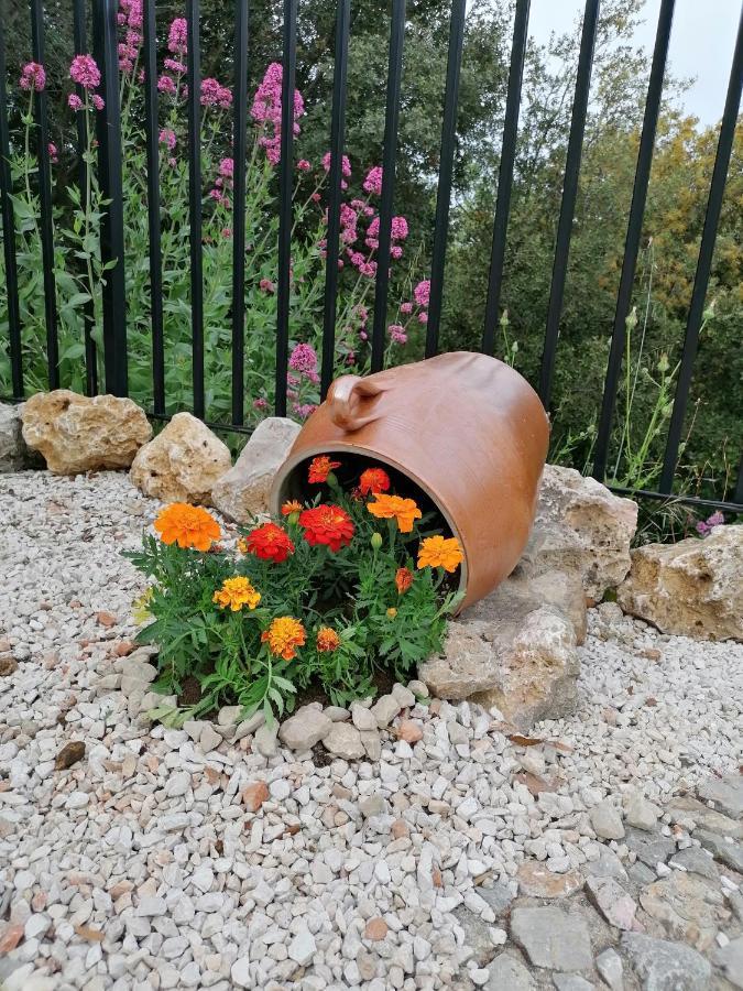 Villa Entre Ciel Et Terre Besse-sur-Issole Esterno foto